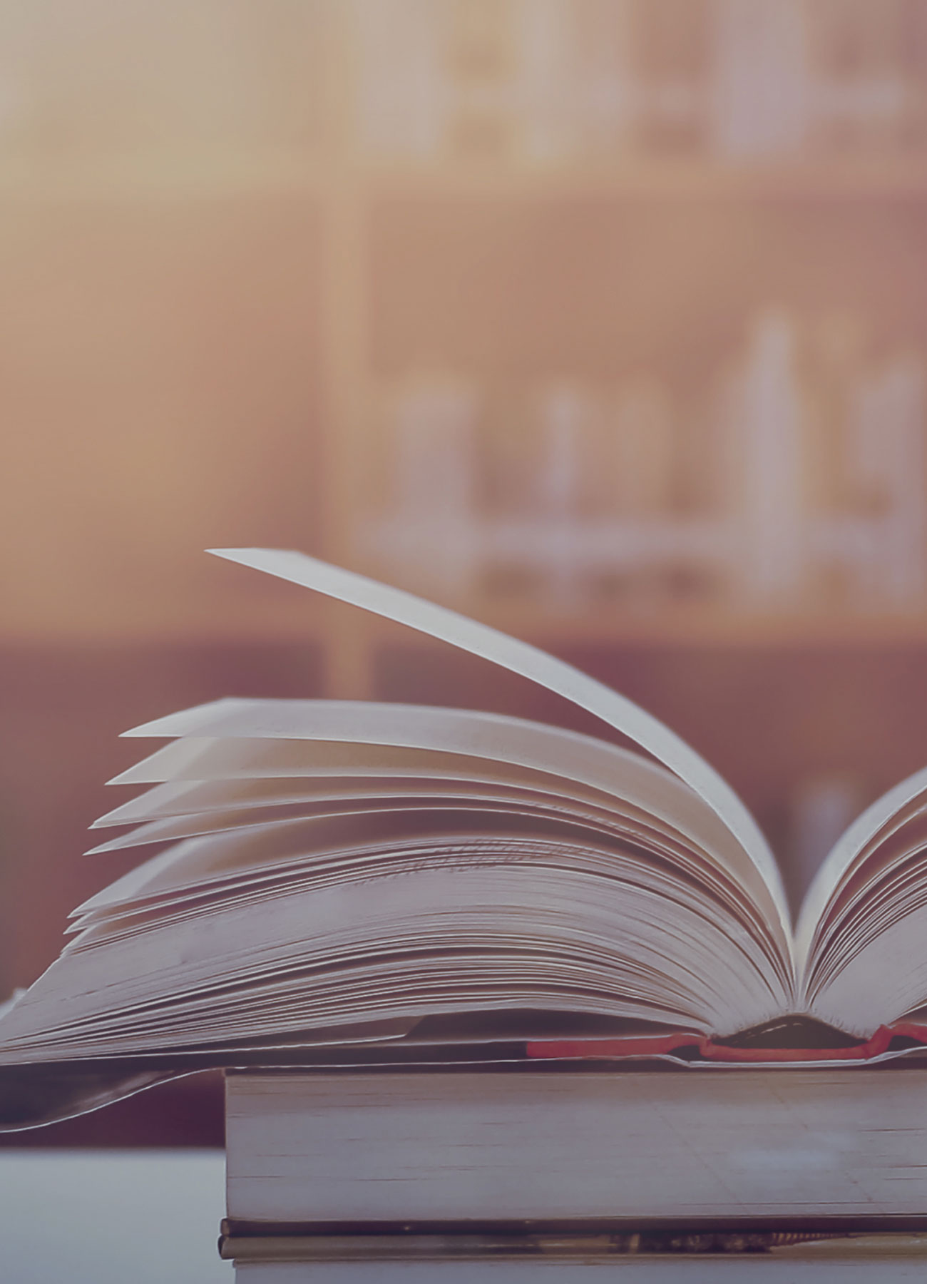 Intellectual Property Law